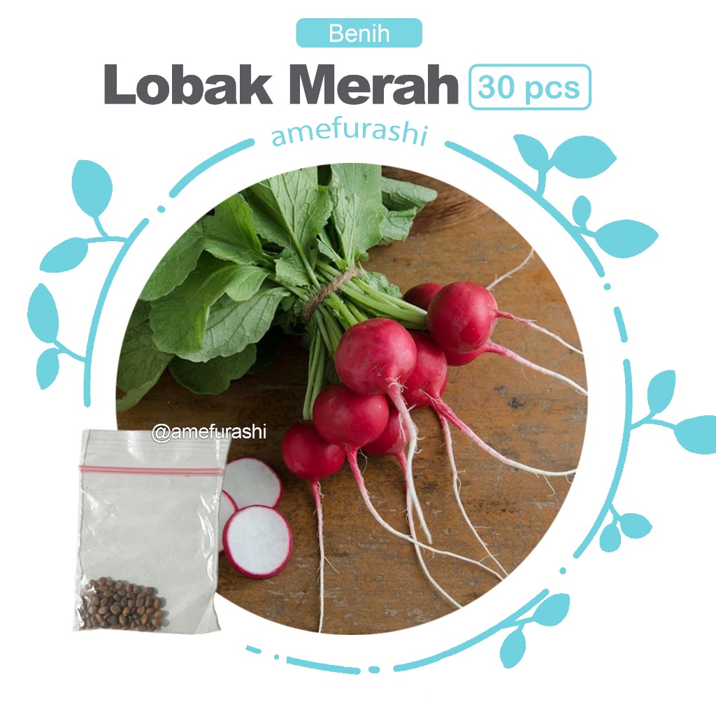 Benih 30 Biji Scarlet Globe Radish Seed Lobak Bundar Merah