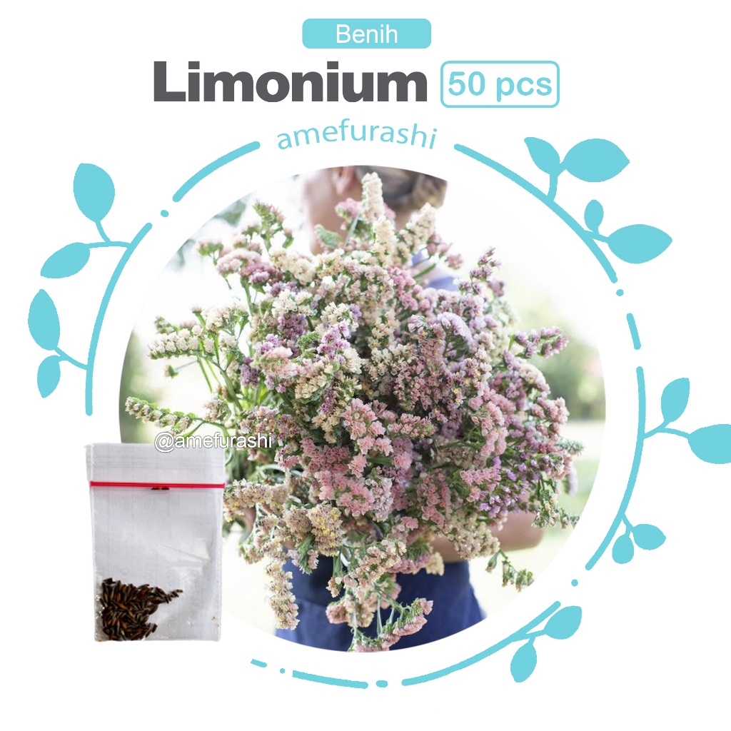 Benih 50 Biji Bunga Limonium Mix Color