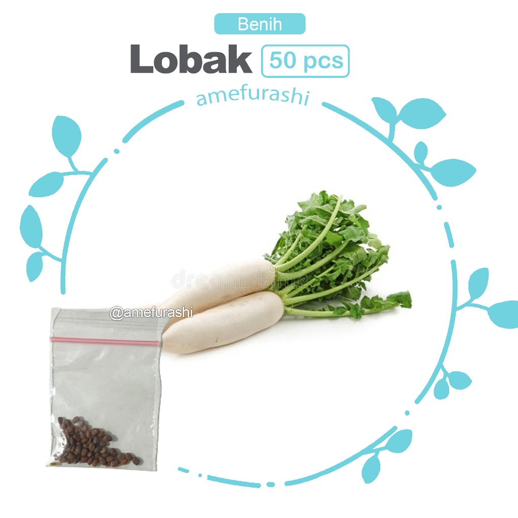 Benih 50 Biji Sayur Lobak Radish Home Growing Vegetables