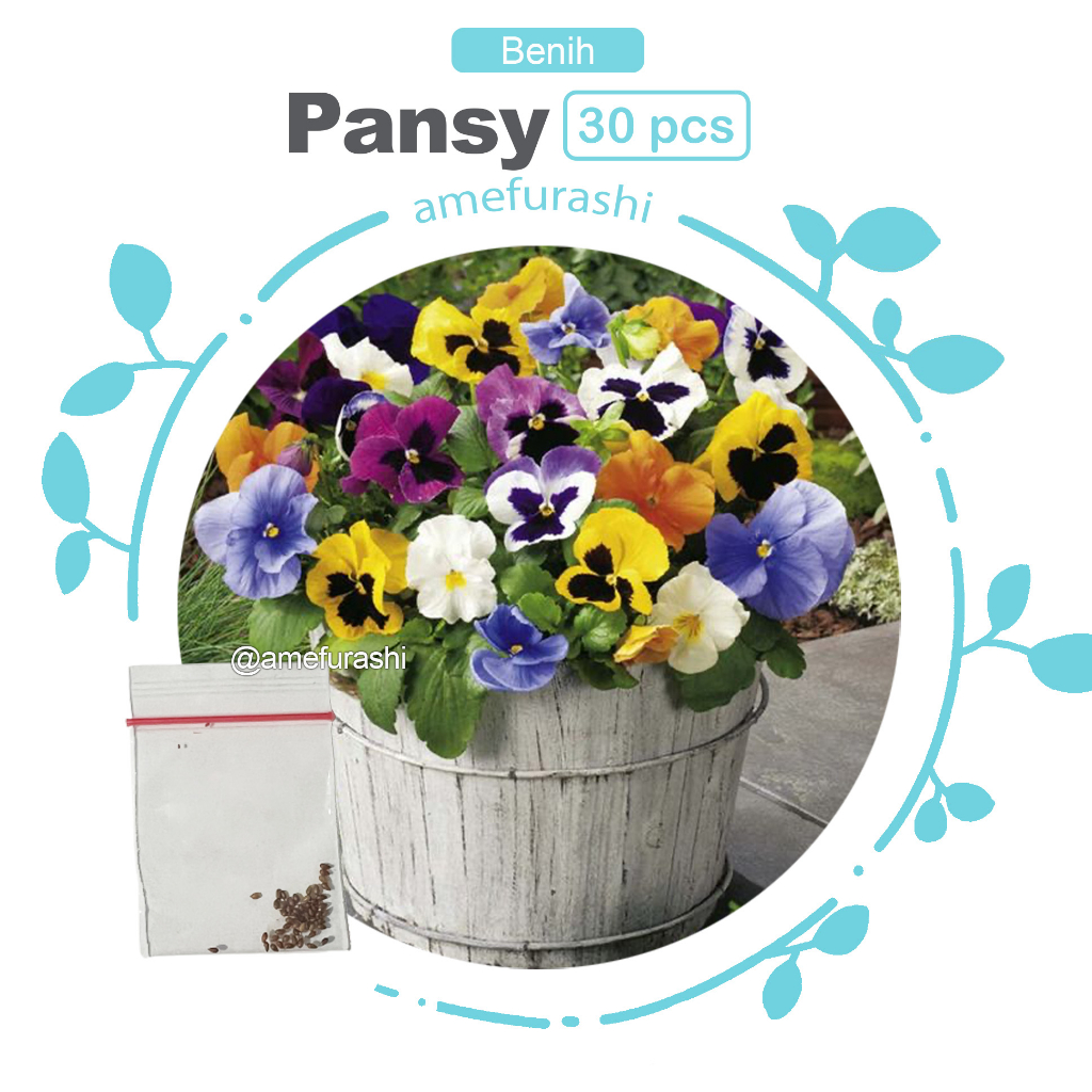 Benih 30 Biji Bunga Pansy Mix Sweet Giants Mix Colour Edible Flower