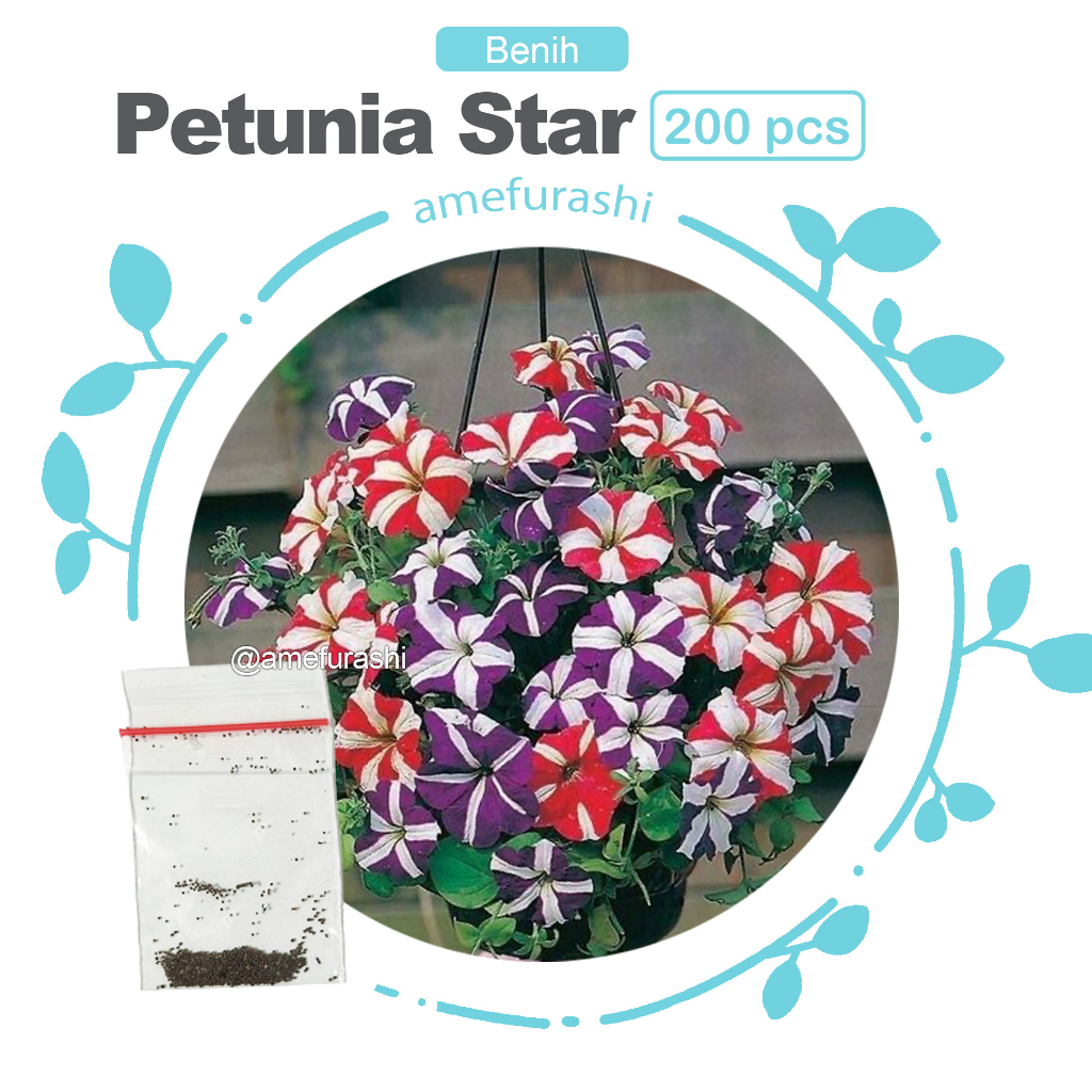 Benih 200 Biji Bunga Petunia Star Mixed Flower