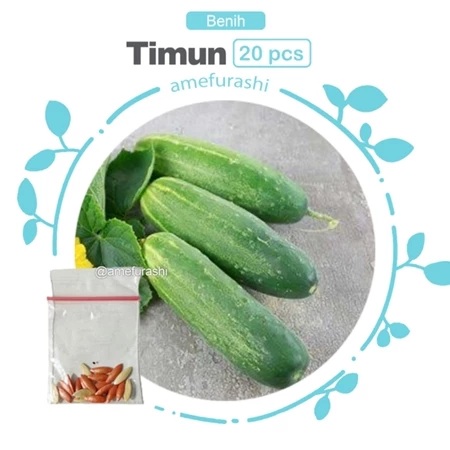 Benih Bibit Biji Sayur Timun