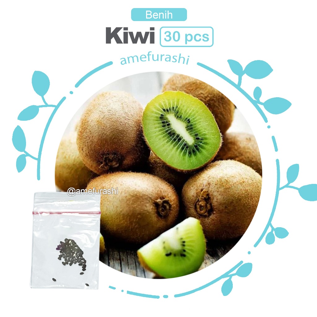 Benih 30 Biji Buah Kiwi Kaya Vitamin Mudah Tumbuh